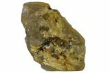 Rutilated Smoky Quartz Crystal - Brazil #172979-1